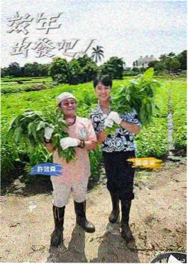 优优影院标本柜中的综艺手艺陈列馆封面